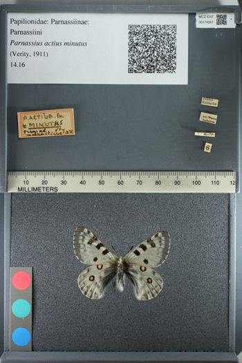 Media type: image;   Entomology 174561